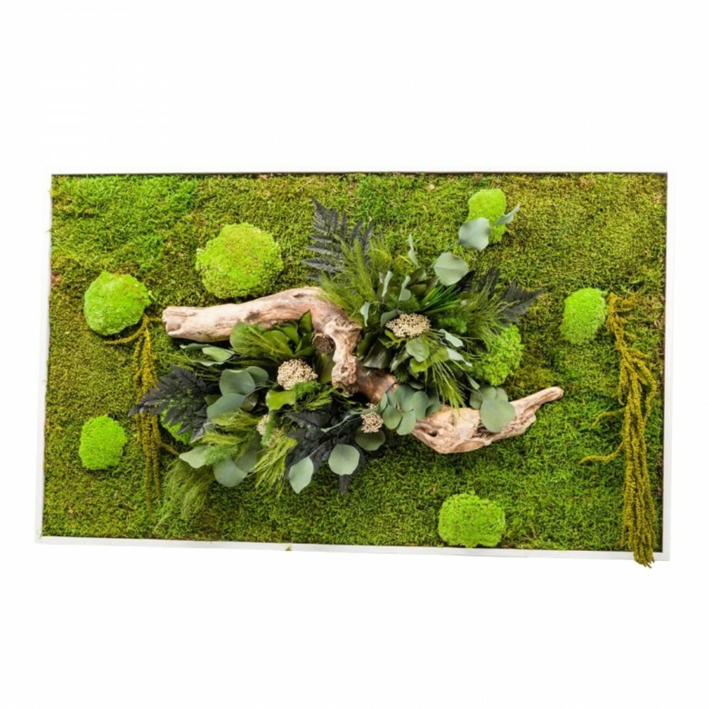 Stab nature - cadre blanc - rectangle xl 100x60