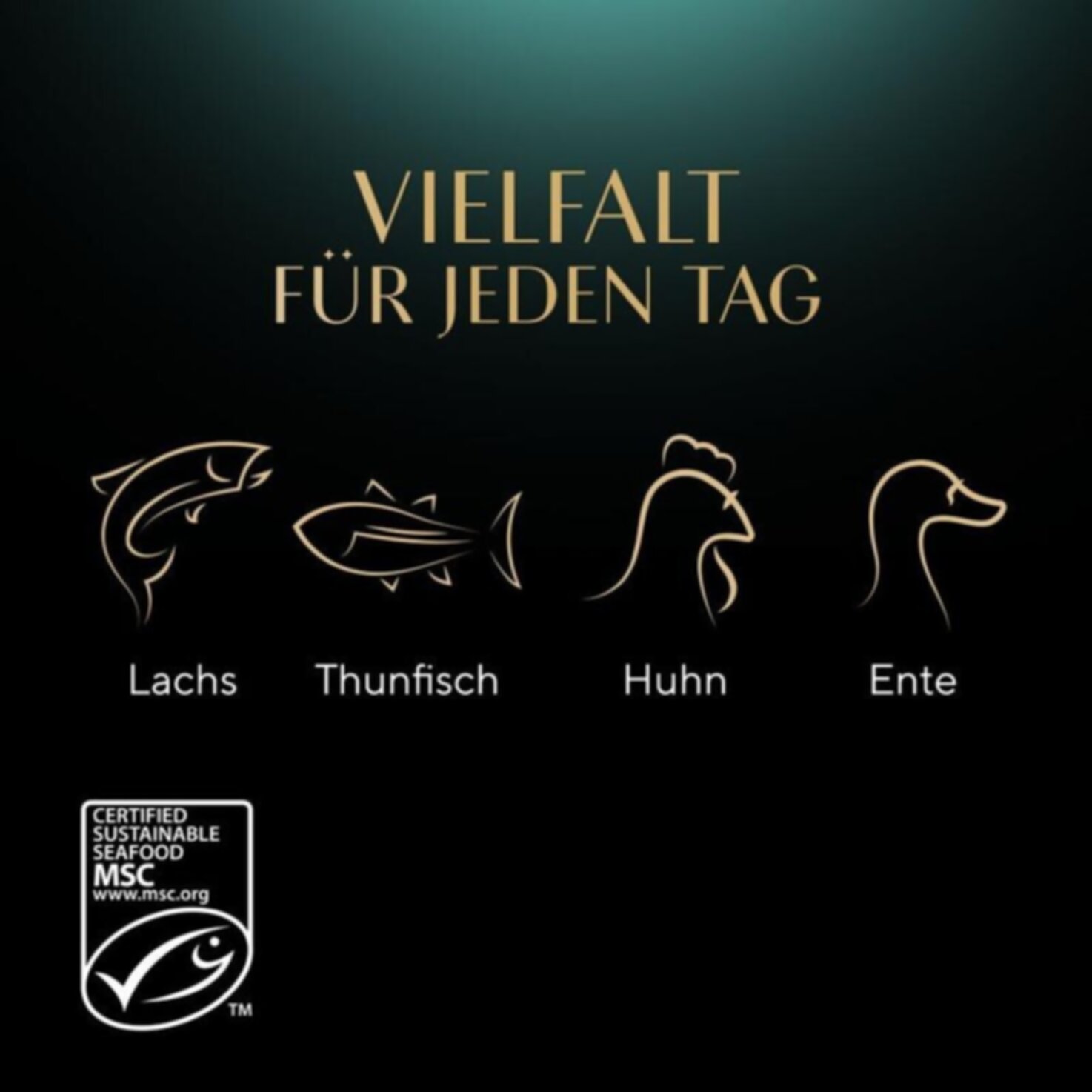 Sheba Sauce Feine Vielfalt 8x85g