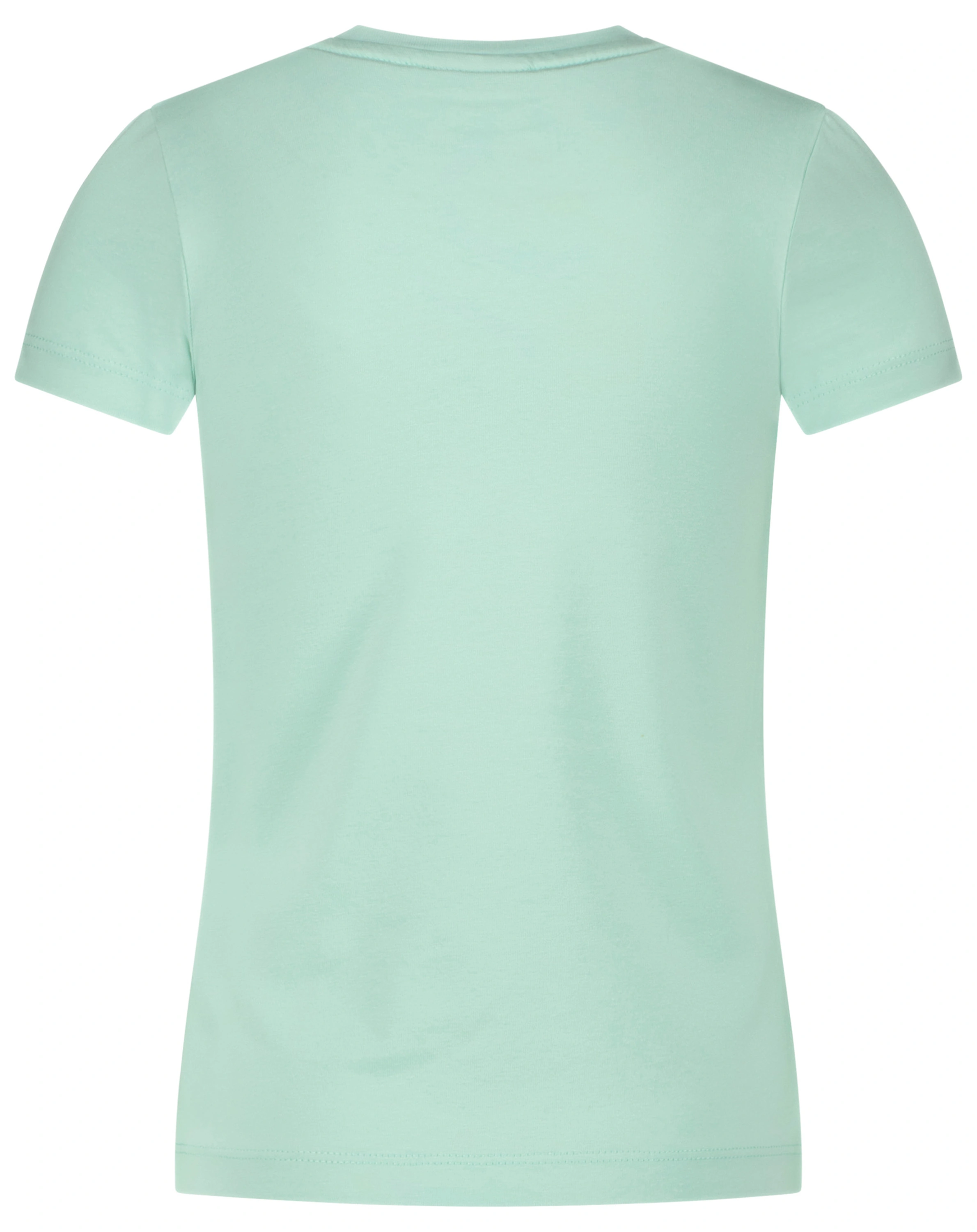 T-Shirt HORSES HEART in ice green