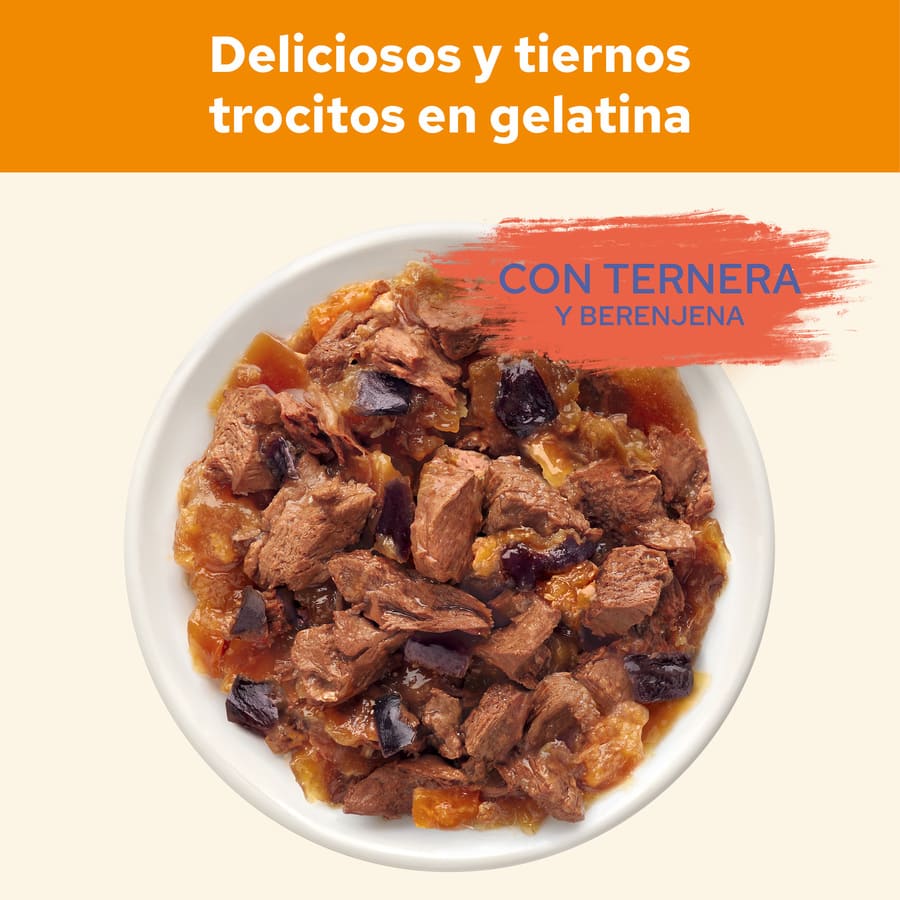 Cat Chow Carne em Gelatina