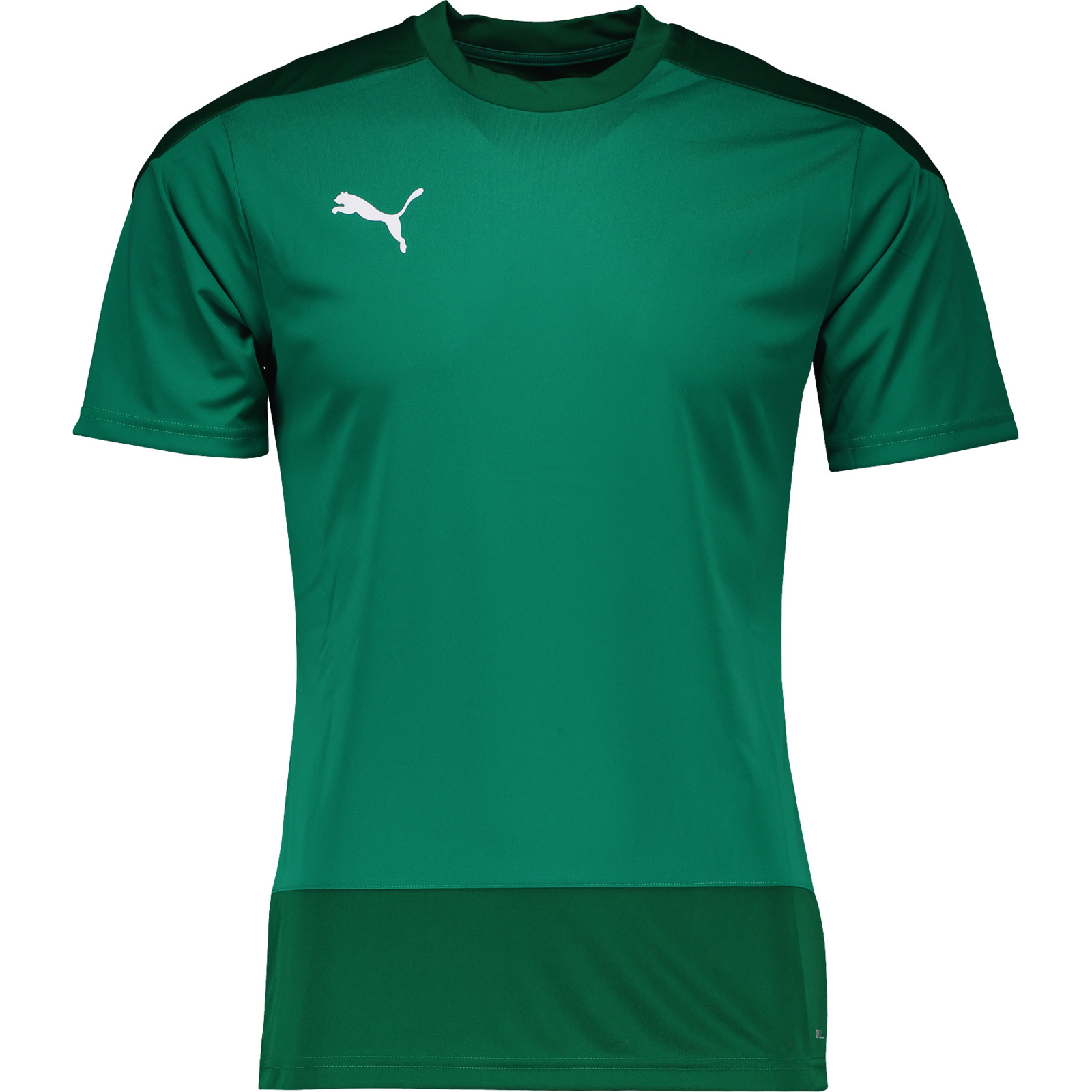 Puma Herren-T-Shirt team Goal M, grün