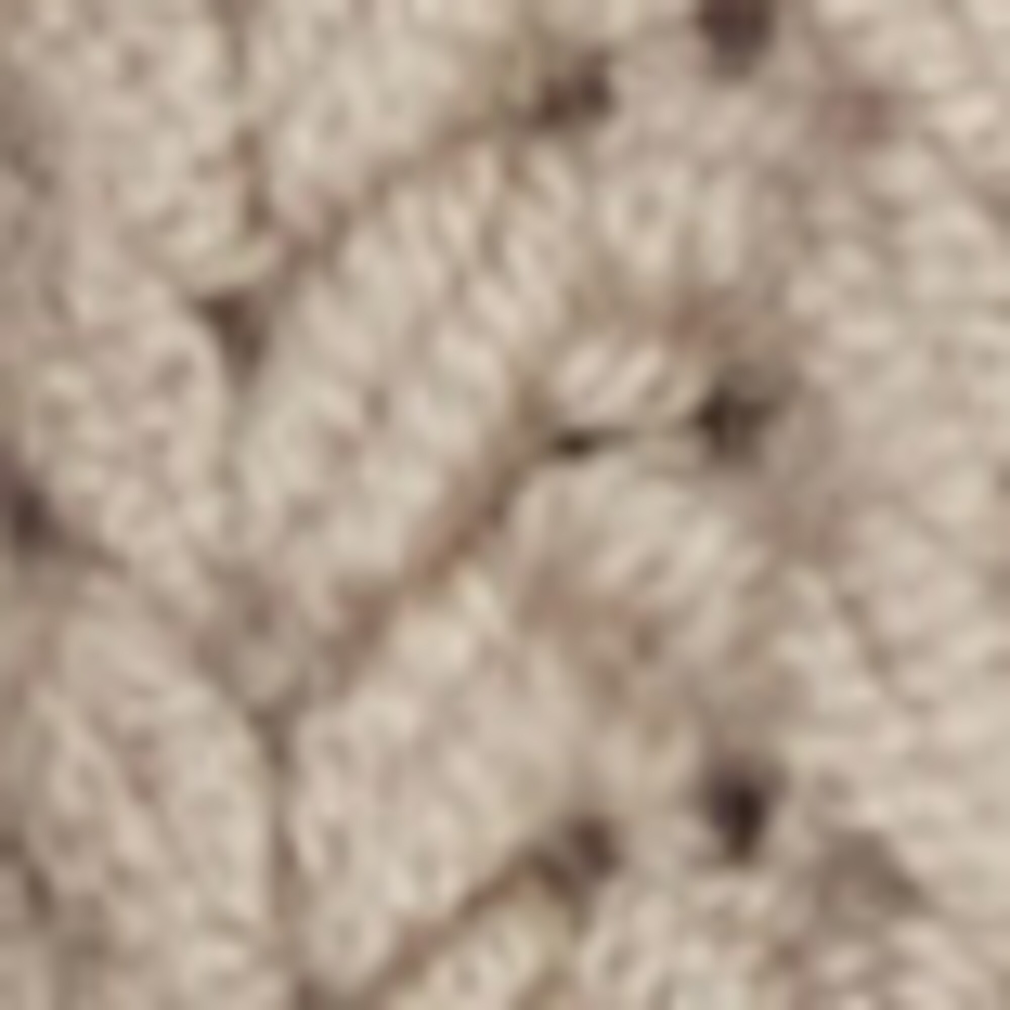 Turtleneck-Pulloveraus softer Schurwolle