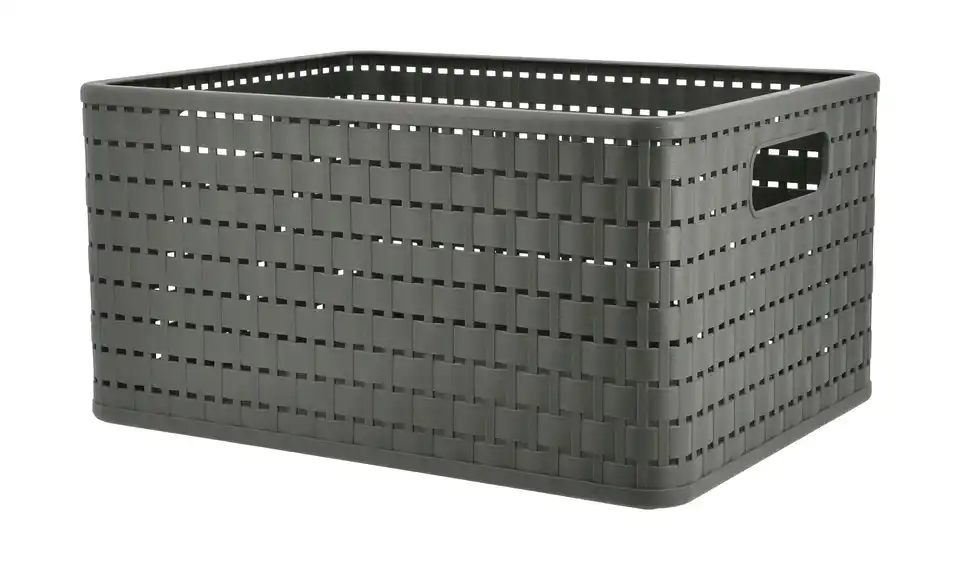Rotho Aufbewahrungsbox 27,8 cm