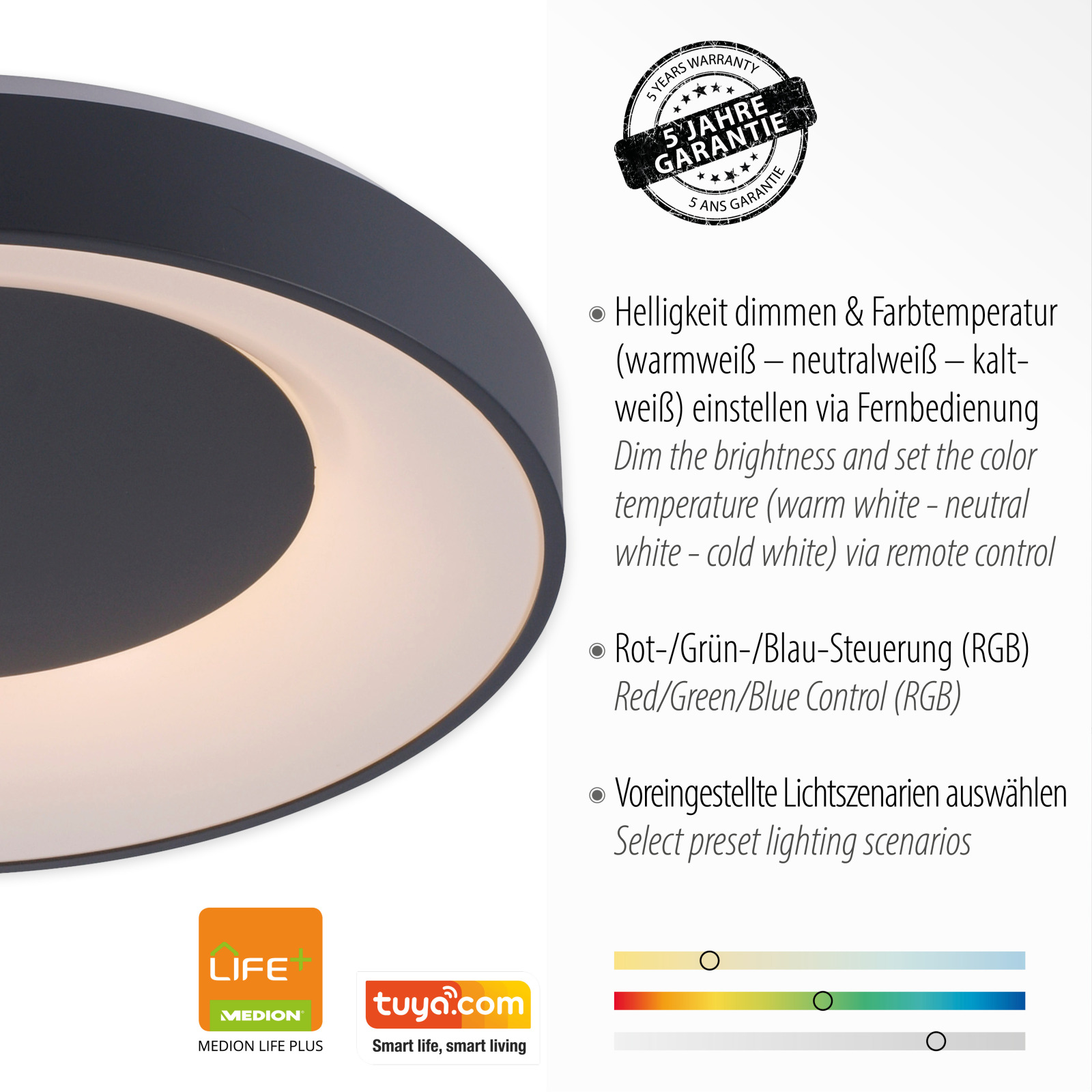 LED-Deckenleuchte - anthrazit - SmartHome - Ø 50 cm