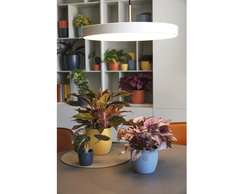 Soendgen Basel Spring keramische plantenbak, Ø 13 cm, H 12 cm, middernachtblauw
