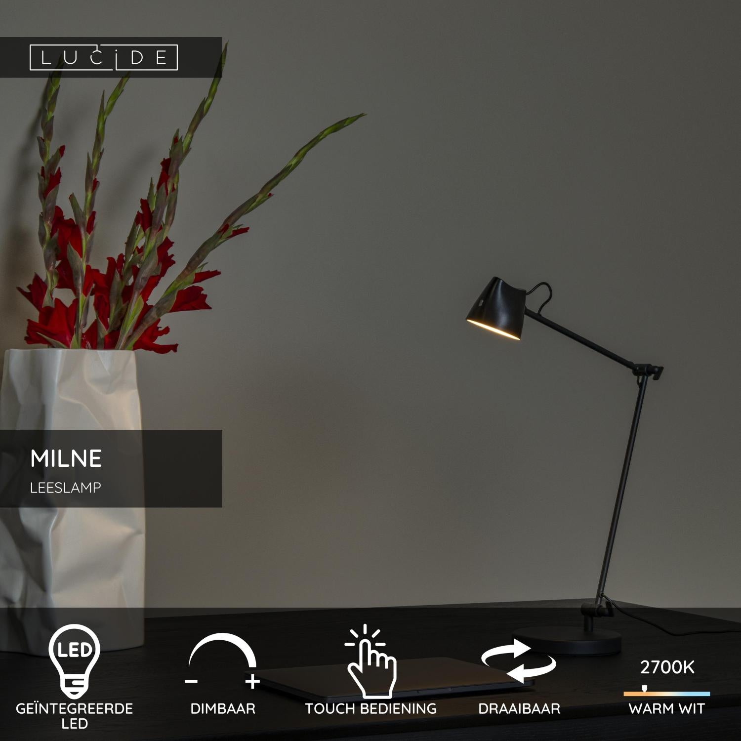Lucide MILNE Leeslamp - Zwart