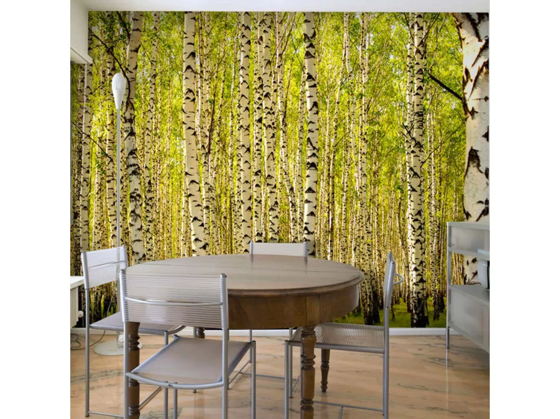 Papier peint forêt de bouleaux - 300 x 230 cm