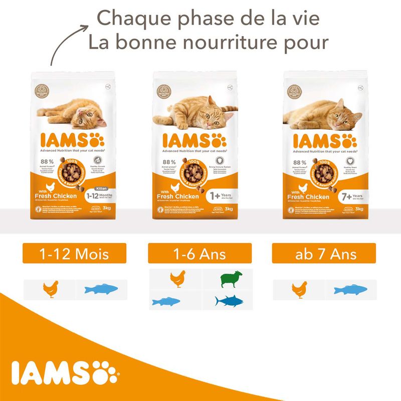 IAMS Advanced Nutrition Kitten poulet pour chaton à prix discount sur bitiba.fr