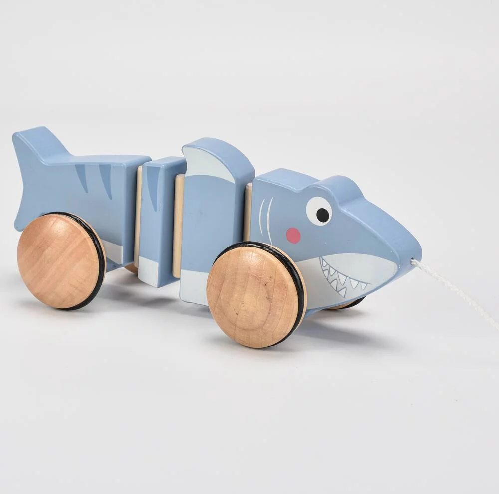 MON PETIT REQUIN A TIRER