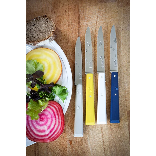 Coffret 4 couteaux de table Céleste Opinel