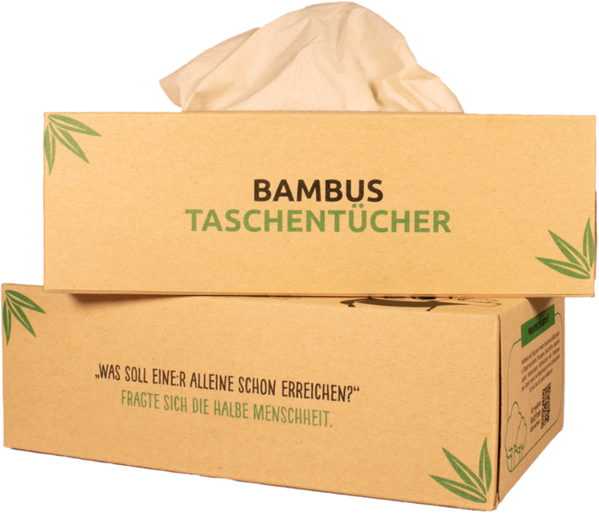 pandoo  Taschentücher aus Bambus, 100 Stk