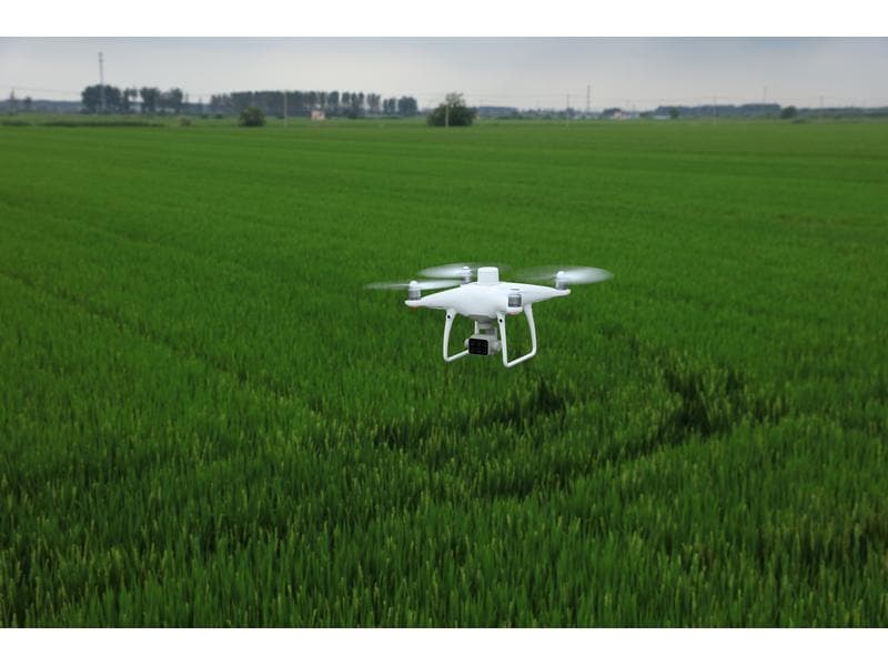 DJI Enterprise Multikopter Phantom 4 Multispectral DJI Care Zuverlässige Drohne für Land- und Forstwirtschaft