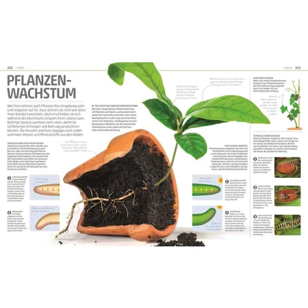 DK Verlag Buch Mega Wissen - Natur & Technik Staunen