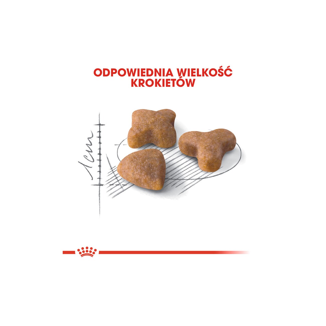 ROYAL CANIN Sensible 33 400 g