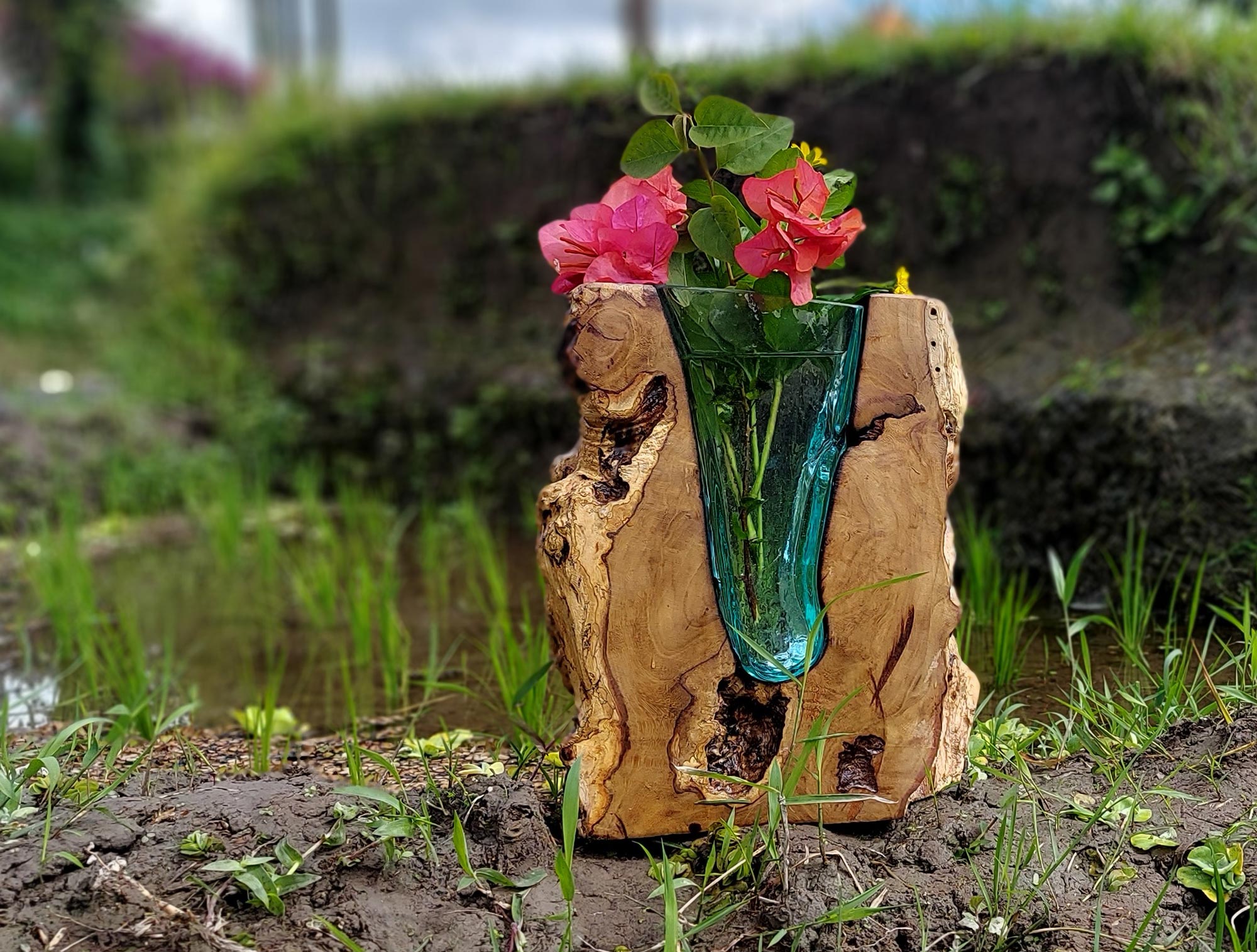 Glasvase 'Keris' auf Holz, H 30 cm, B 20 cm, L 8,5 cm von fischer's lagerhaus