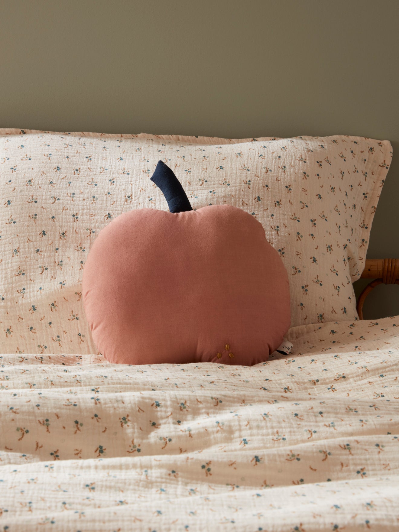 Coussin fruit en coton