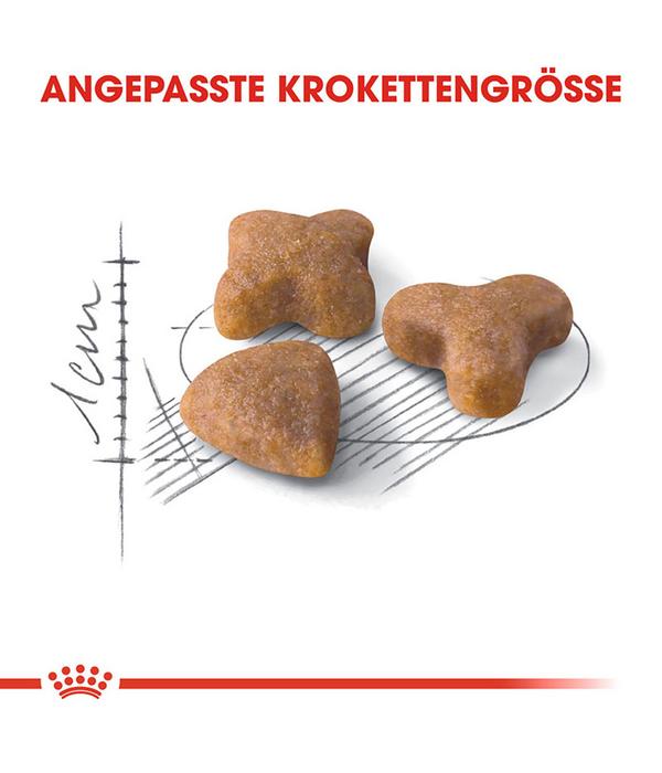 ROYAL CANIN® Trockenfutter für Katzen