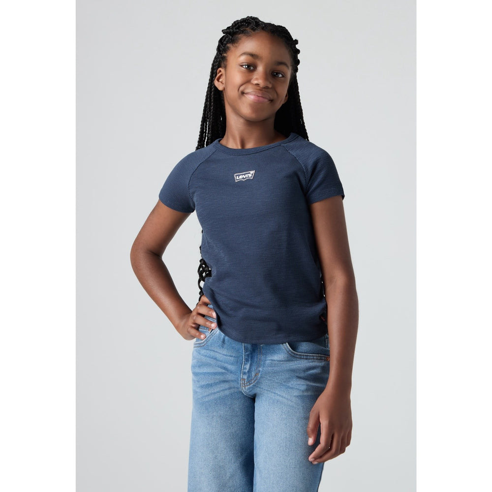 Køb Levi's Big Dipper Farve Block Raglan Top