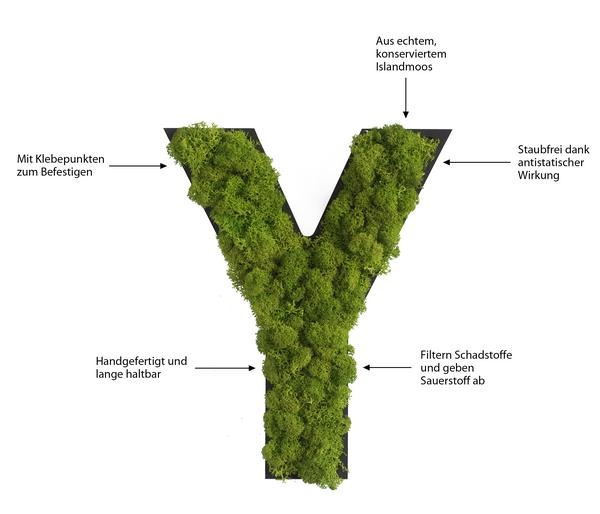 styleGREEN Buchstaben aus Islandmoos, ca. H25