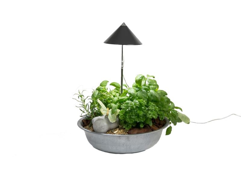 Venso Solutions Pflanzenleuchte SunLite 7 W, Grau LED-Pflanzenlampe mit Vollspektrum