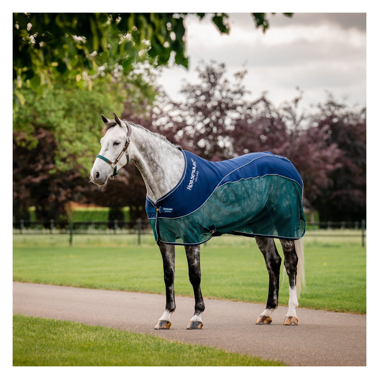 HORSEWARE Signature Hybrid-Abschwitzdecke Sport Cooler  - navy/hunter green & silver