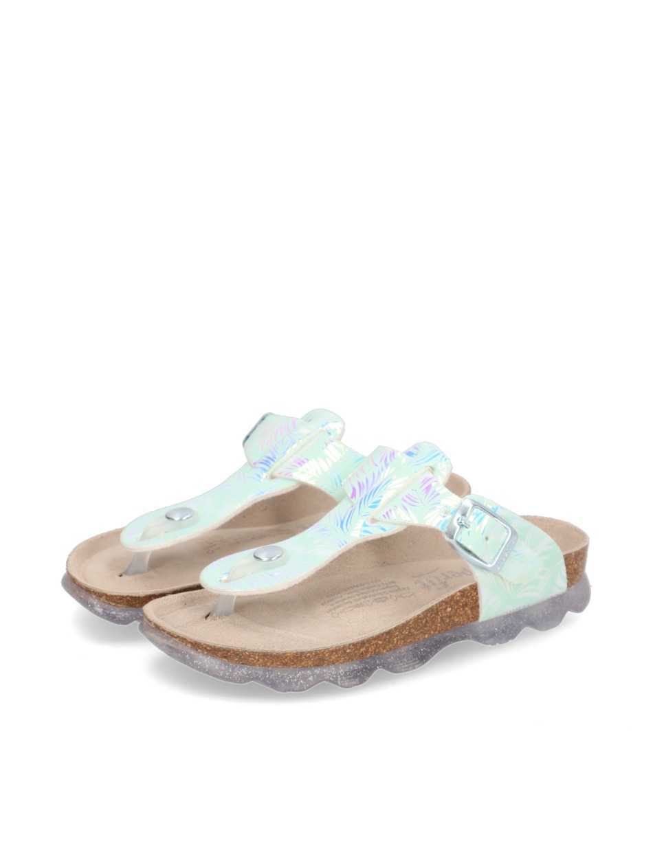 Jellies