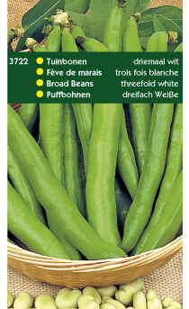 Hortitops Tuinbonen Vicia faba Driemaal wit - Groentezaden - 250 Gram