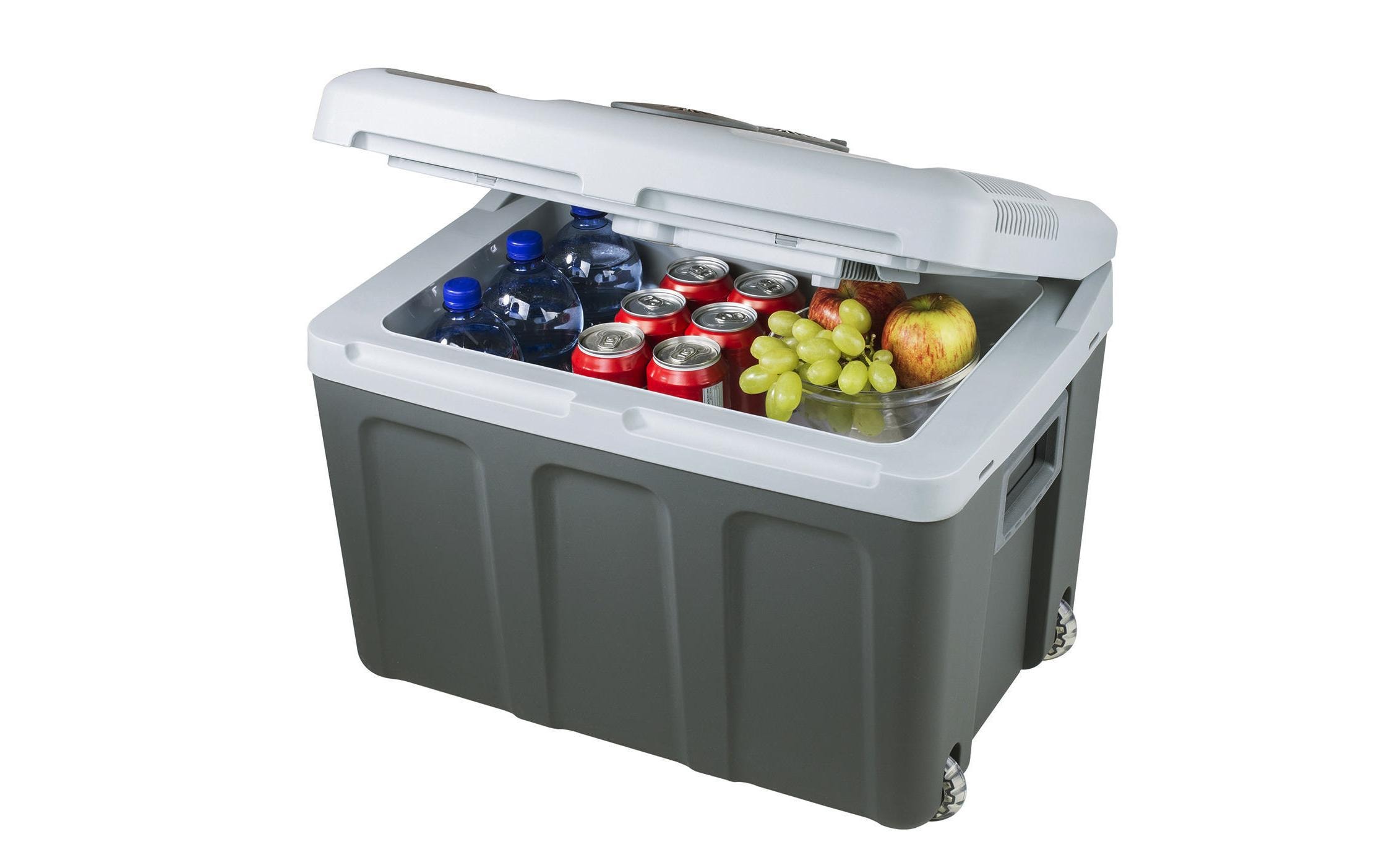 Kühlbox Thermo-Elektrisch 40 l<br>Thermoelektrische Kühlbox