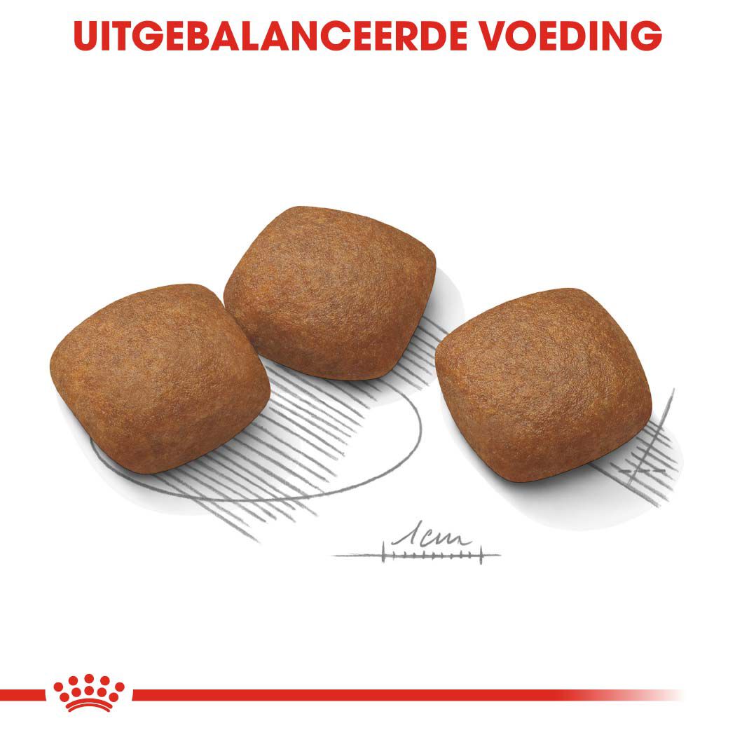 Royal Canin Maxi Joint Care - Hondenvoer - 3 Kilogram - gevogelte