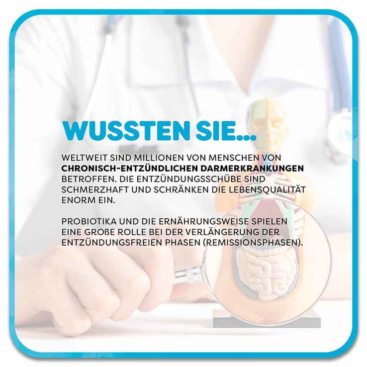 Lactobact Forte magensaftresistente Kapseln, 300 St
