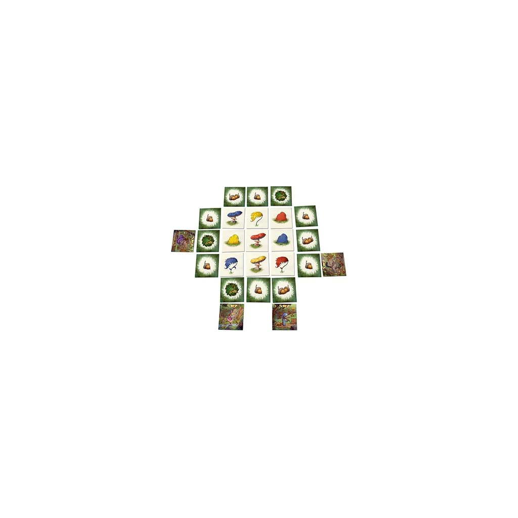 Le Bois Des Coua2sous