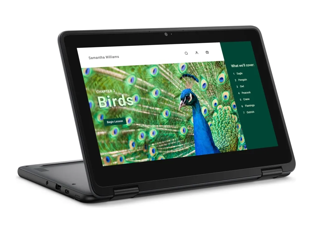 Dell Chromebook 3120 (2024) - Intel N-series - N100 / op til 3.4 GHz - Chrome OS - UHD Graphics - 4 GB RAM - 64 GB eMMC - 11.6