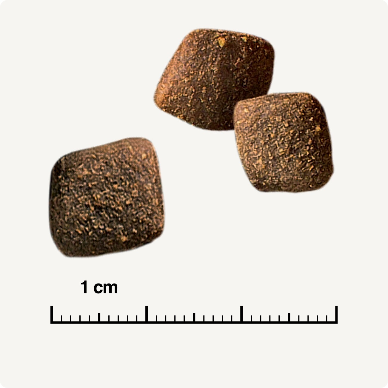 REAL NATURE WILDERNESS Trockenfutter Hund, Adult, Rocky Hills Rind und Ziege 1 kg