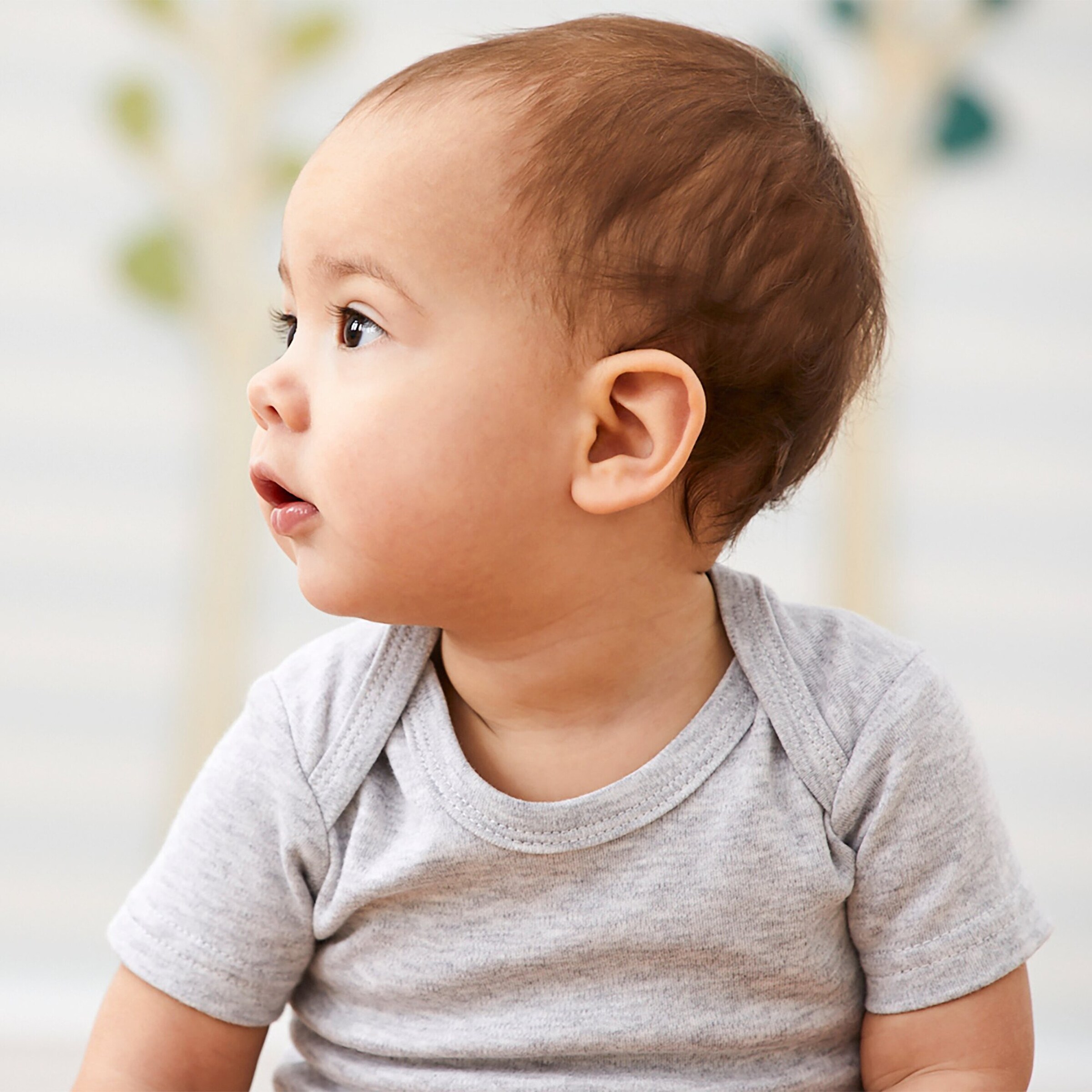 Bornino - Lieblinge 2er-Pack Bodys kurzarm grau