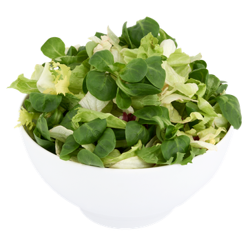 Jumbo Melange IJsbergsla & Veldsla 200 g