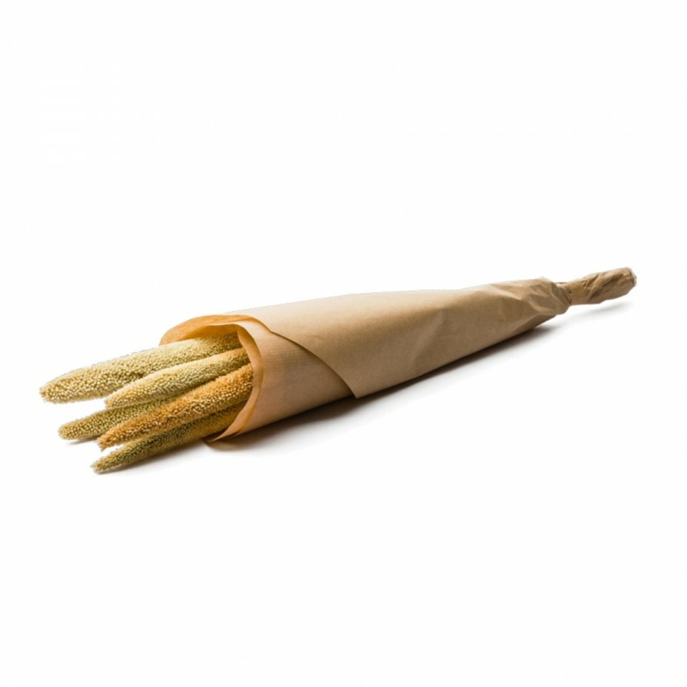 Botte de fleurs séchées balba blanchi