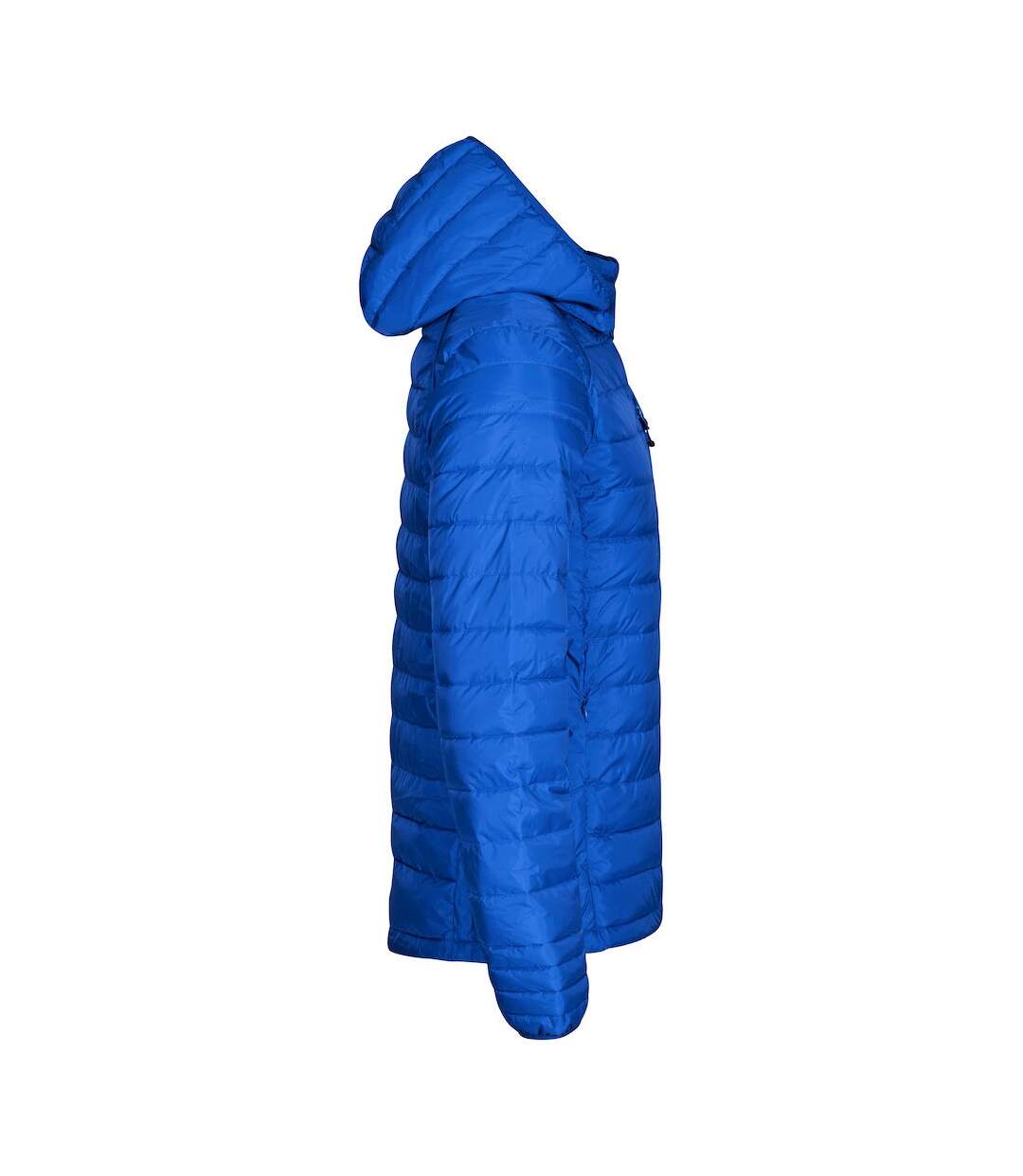 Clique - Doudoune HUDSON - Homme (Bleu roi) - UTUB514