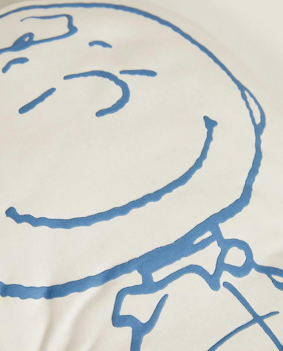 ALMOFADA PARA COLORIR O CHARLIE BROWN E O AMENDOIM?