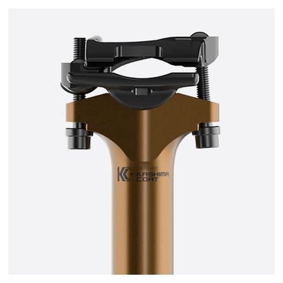 Tige de Selle Télescopique Fox Racing Shox Transfer SL Factory Passage Interne Noir  (Sans Commande)