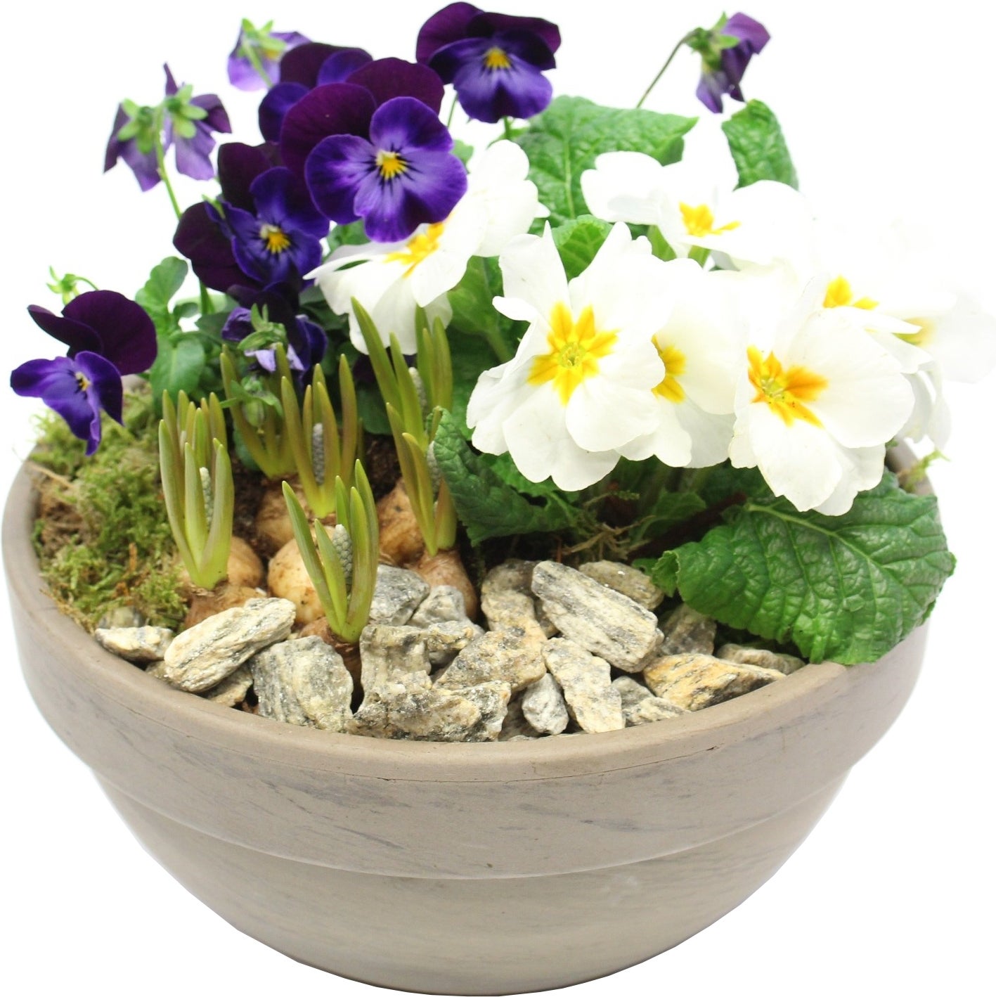 Intratuin Arrangement Voorjaar D 23 H 21 cm