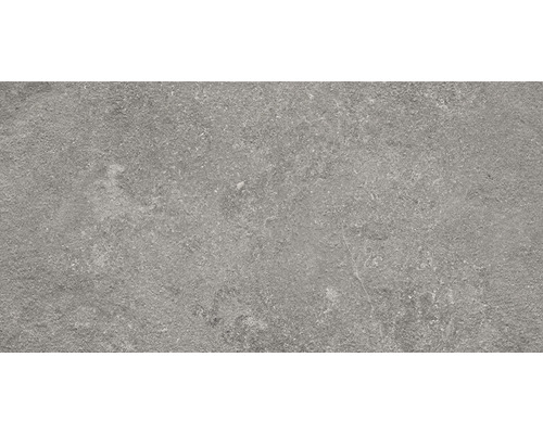 FLAIRSTONE porseleinen terrastegel Luna Silver gerectificeerde rand 100 x 50 x 2 cm