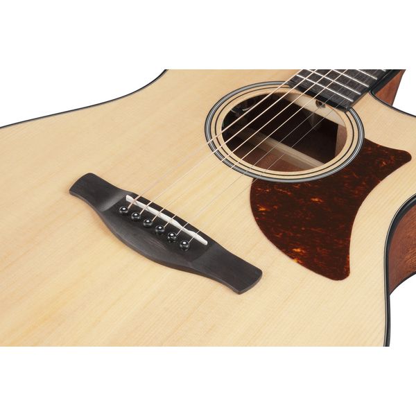 Ibanez AAM50CE-OPN