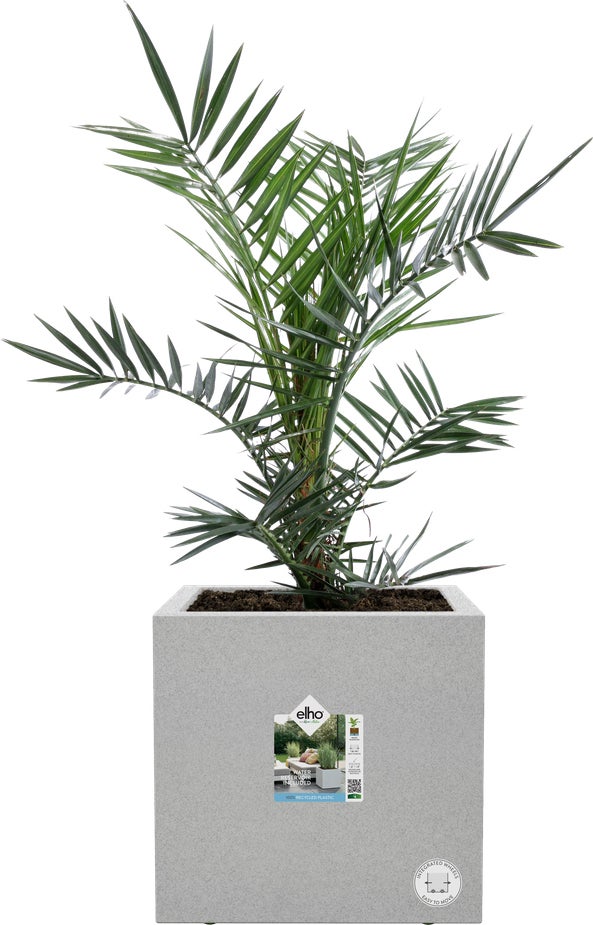 Elho plantenbak Vivo Next grijs 29,5 x 29,5 x 29,5 cm