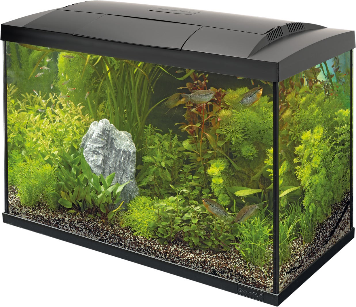 SuperFish aquarium Start 70 Tropical Kit zwart 60 L