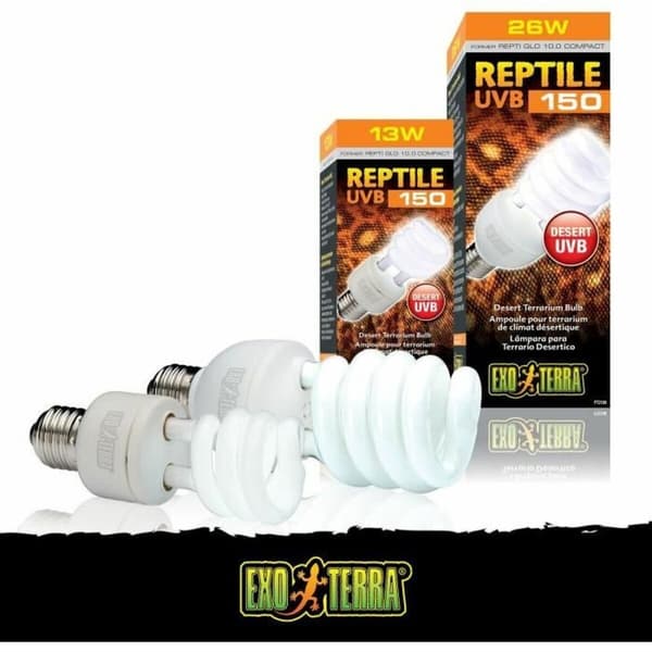 Lampe Exo Terra