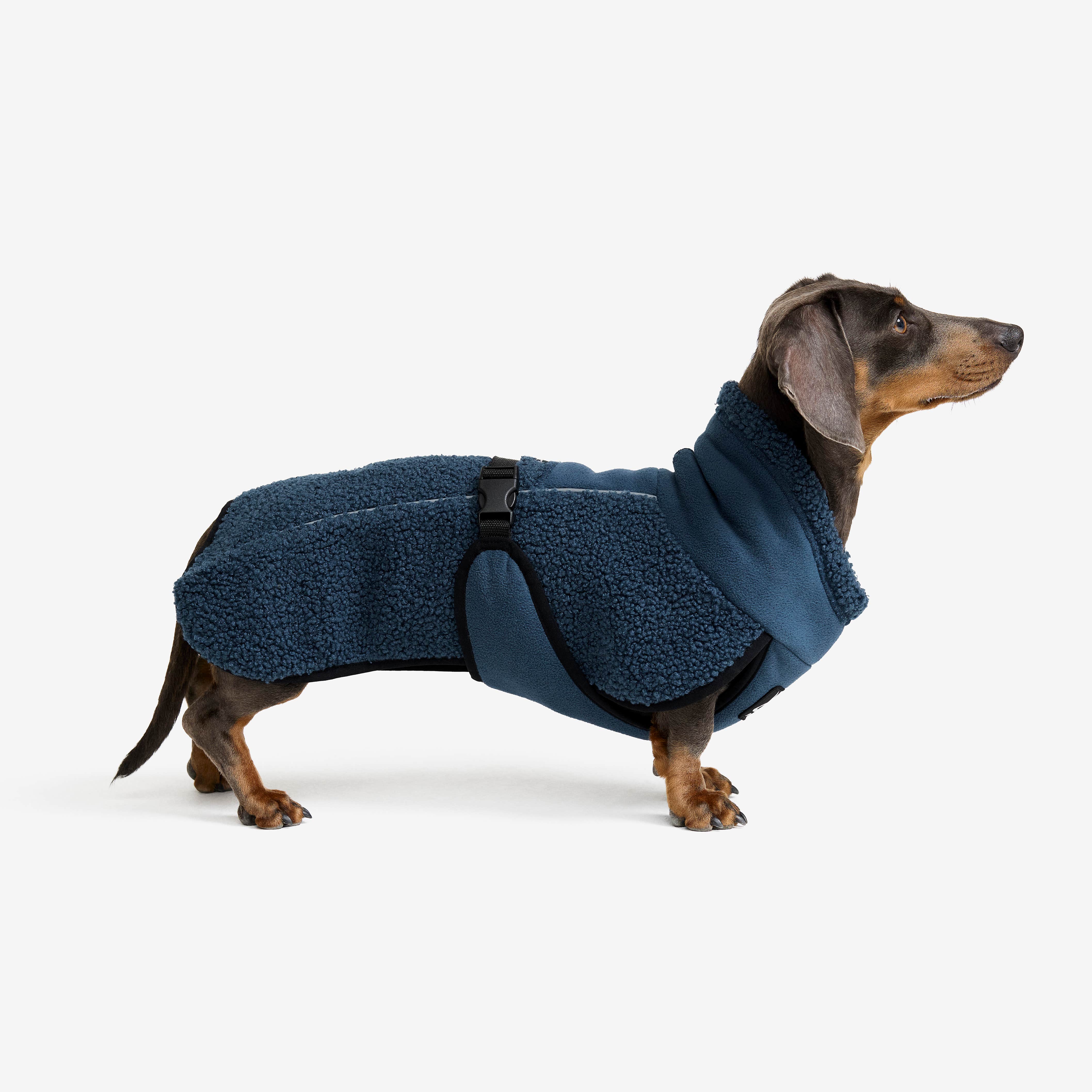 Bigfoot Dog Jacket Hund Moonlit Ocean
