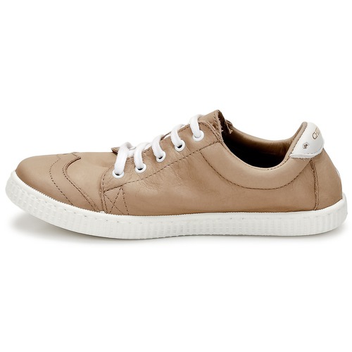 Chipie - SAVILLE - Beige