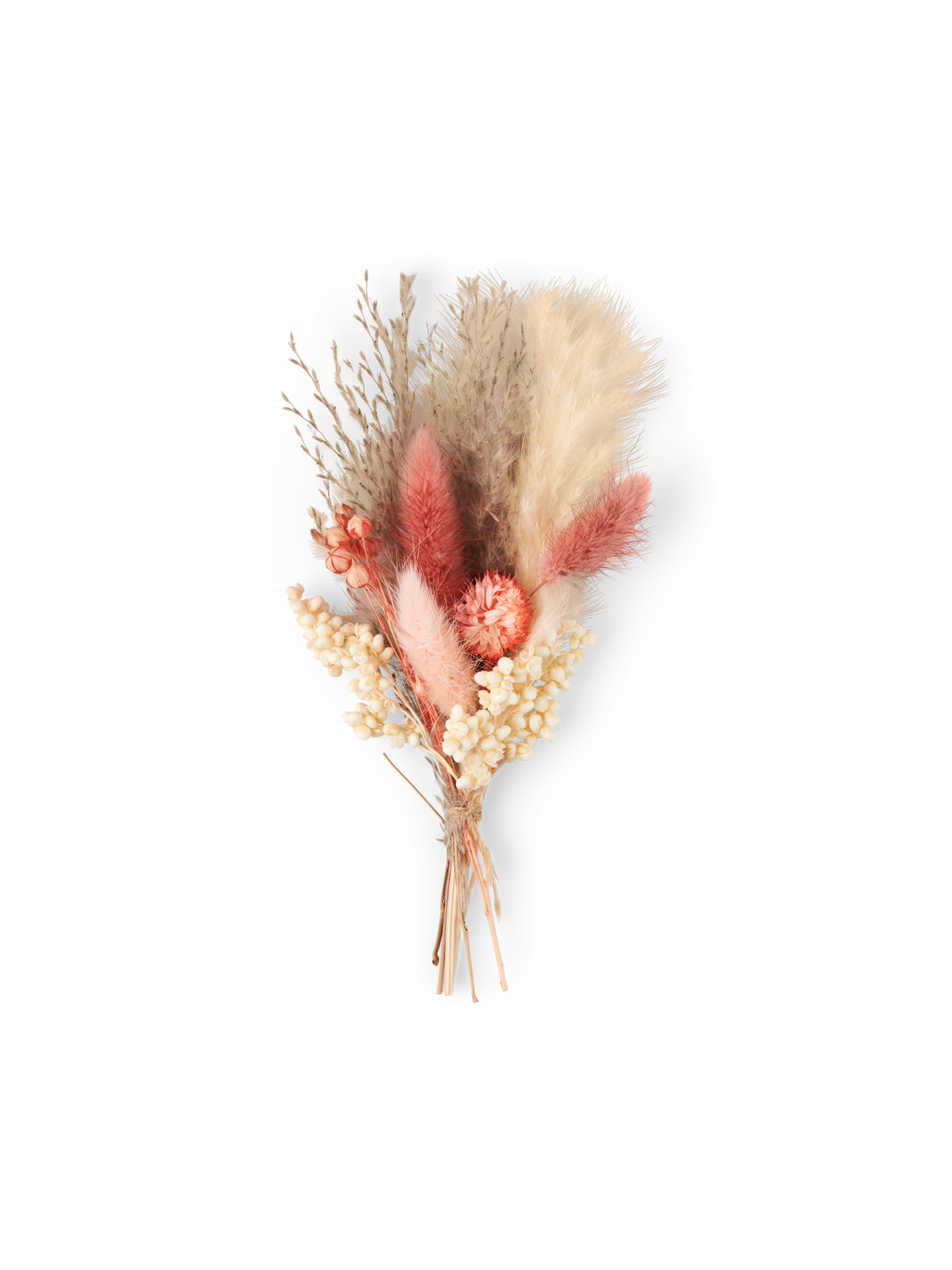 Tørrede blomster til DIY | Tørrede blomster. | Rose