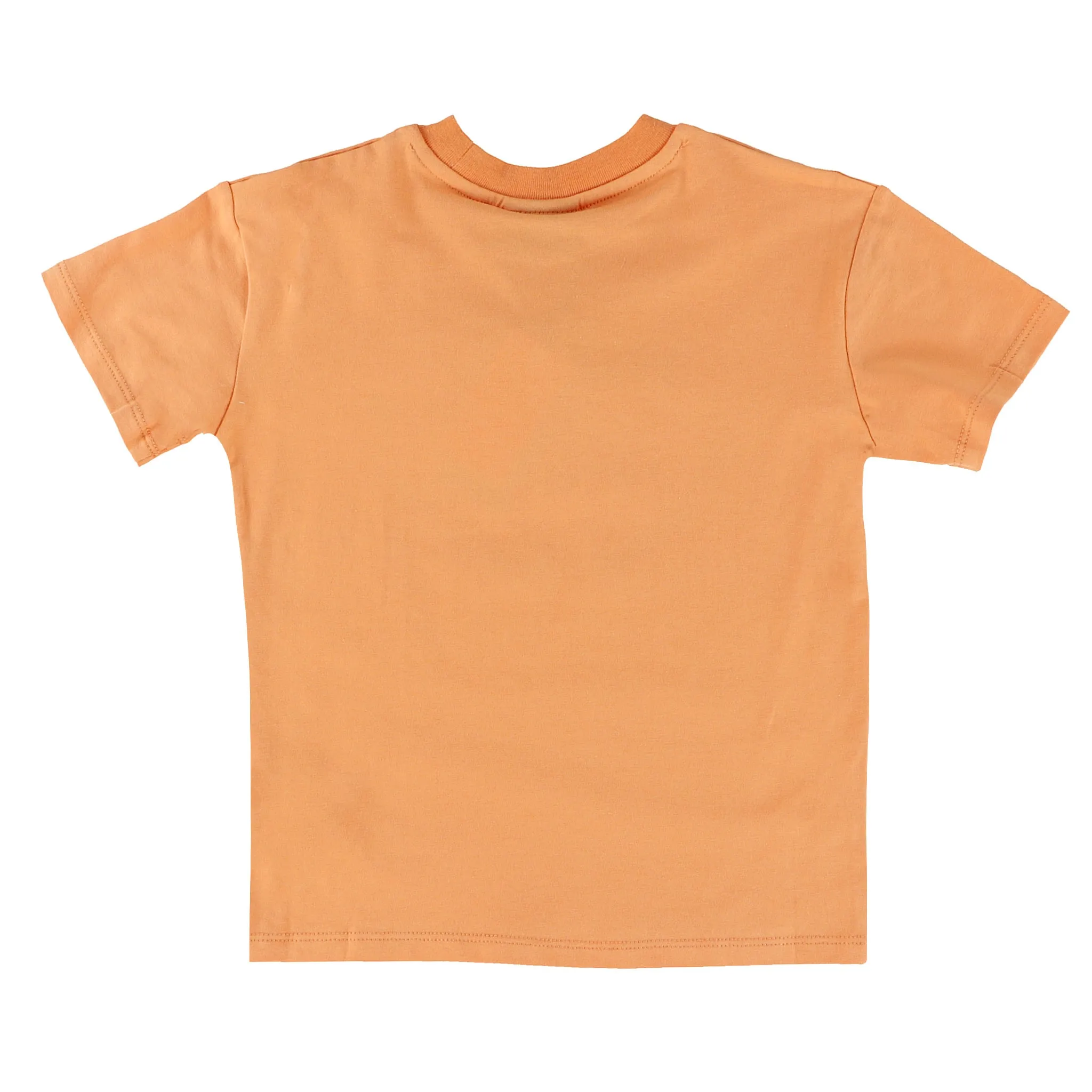 Birdz T-shirt Mountain To Lake 2-10ans