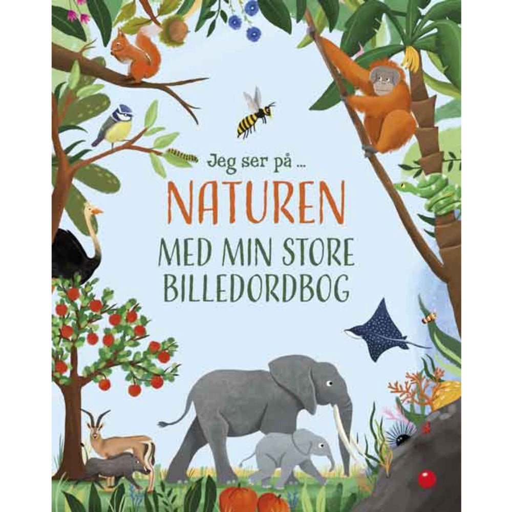 Køb Forlaget Bolden Jeg Ser På: Naturen Med Min Store Billedordbog